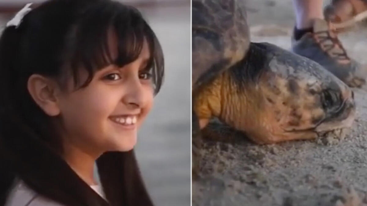 Video: Dubai princess rescues 80-year-old turtle