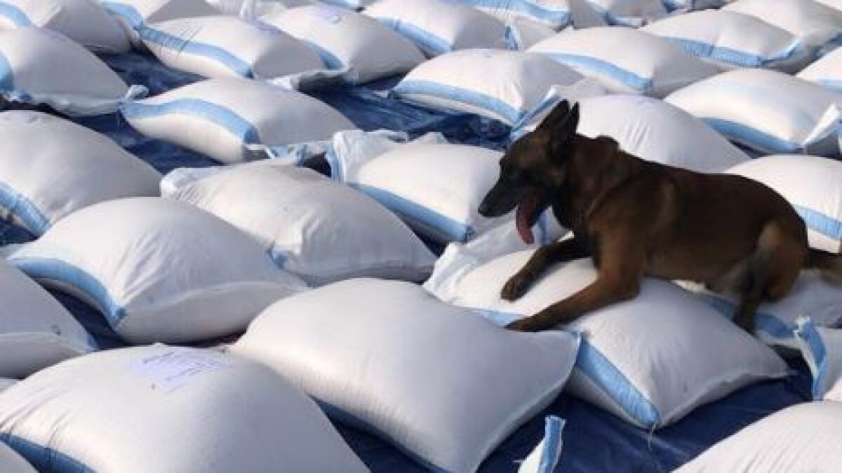 Dogs sniff out 5.7 million drug pills in Dubai food container