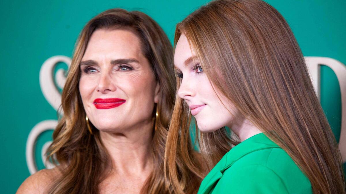 Actress Brooke Shields pictured with her daughter Rowan Francis Henchy