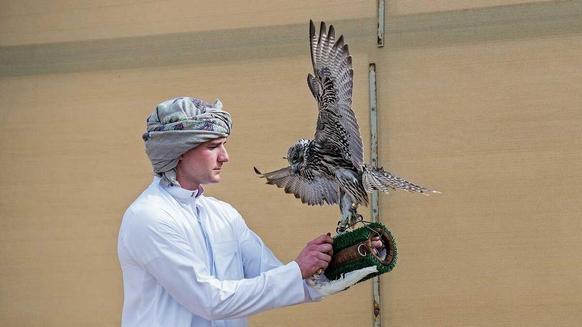 Harry Garland with his Falcon.- Supplied photo