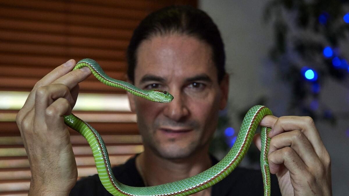 UK snake mans venom habit holds hope for new antidote