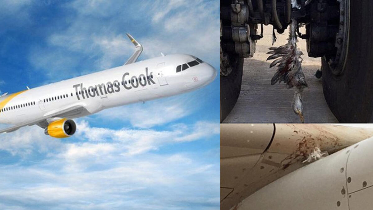 London-bound flight makes emergency landing after hitting 50 storks