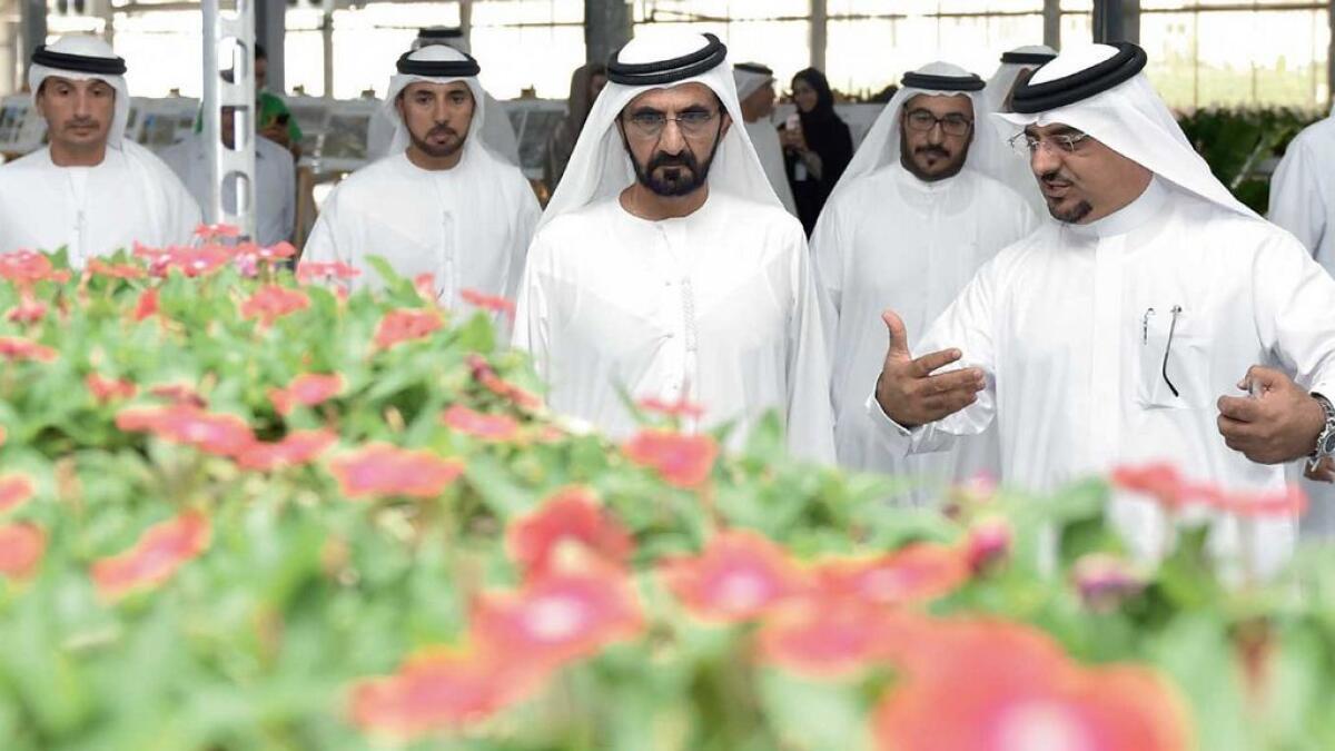 UAE signs up for Mother Earth
