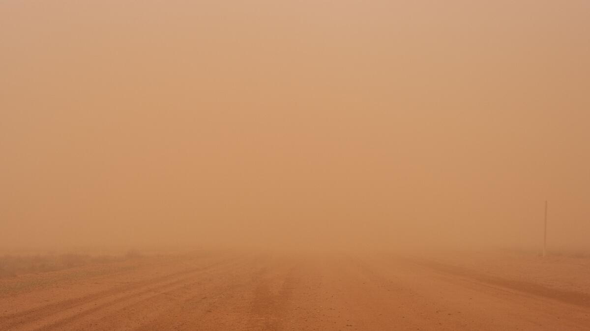 Dust storm in parts of UAE; weekend weather to remain hot, humid