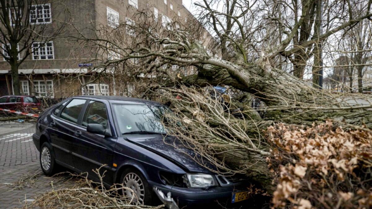 A car lies under a fallen tree in Amsterdam on February 18 after Storm Eunice passed across northern Europe. — AFP
