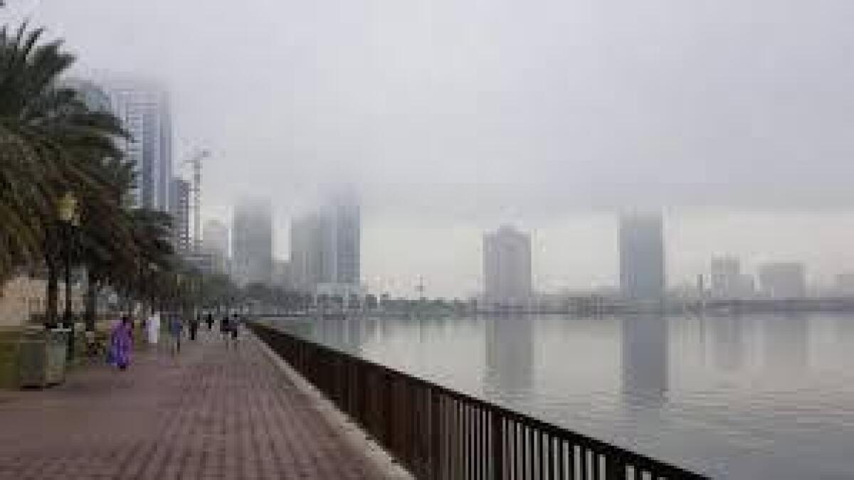 Fog, UAE, Weather, visibility, weather forecast