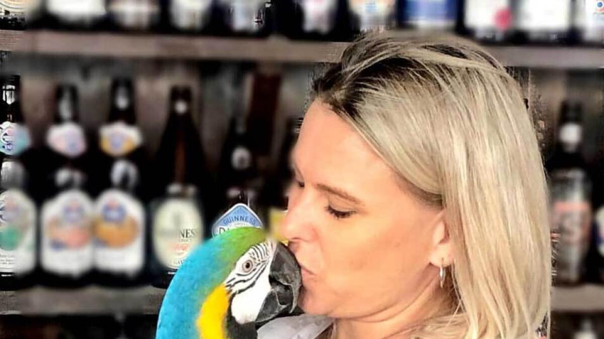 Dubai expat, declares, Dh10,000 prize, missing parrots, 