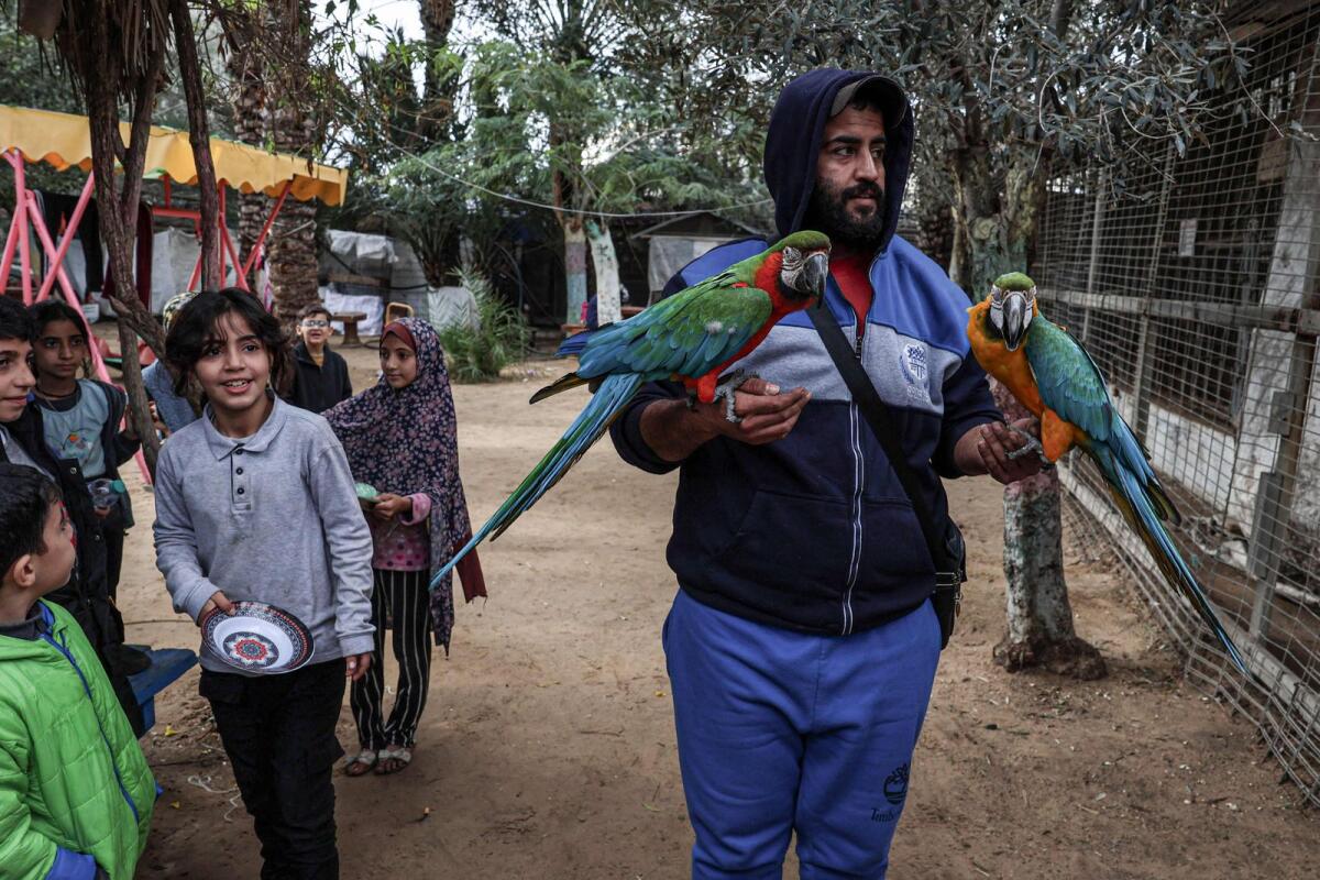 A displaced Palestinian carries parrots as he walks around the zoo in Rafah in the southern Gaza Strip. — AFP