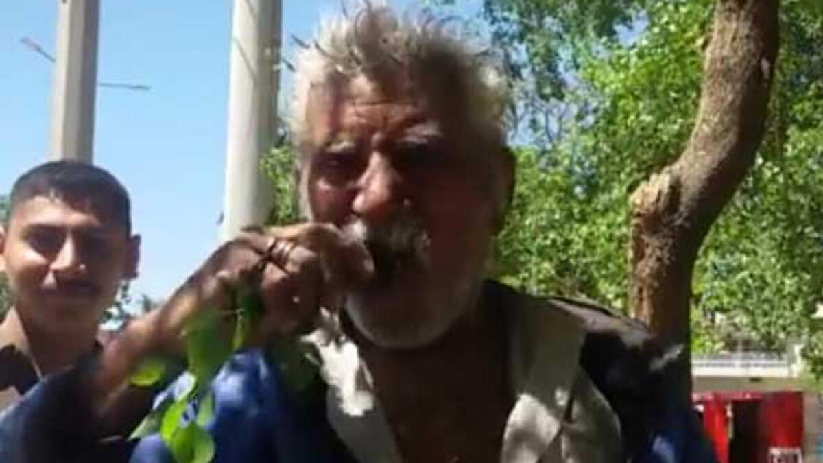 Pakistani man eats leaves for 25 years, never falls ill
