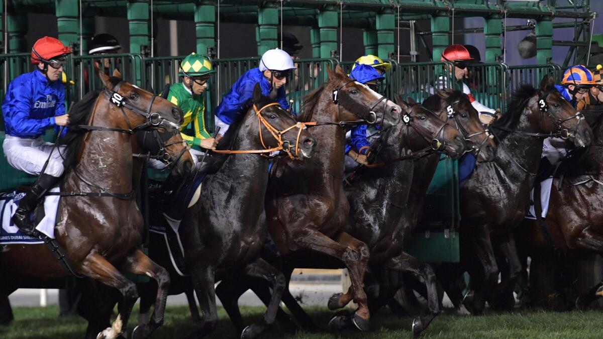The draw can have serious impact on the outcome of a race in the $12 million Dubai World Cup. (AFP file)