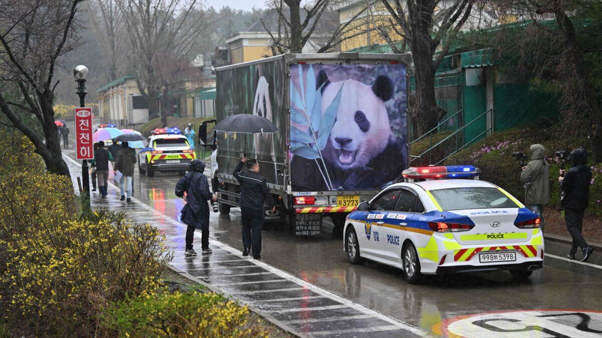 A convoy carrying giant panda Fu Bao leaves after a farewell ceremony at Everland amusement park in Yongin on Wednesday. — AFP