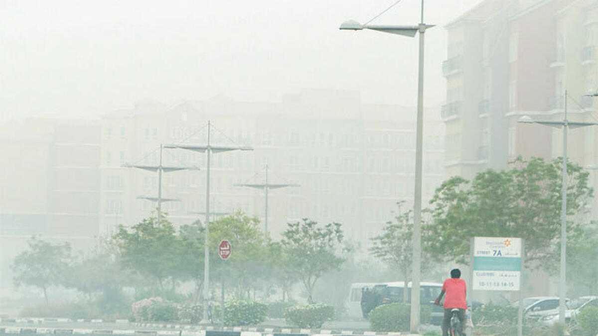 Chance of fog in coastal parts of UAE: NCMS