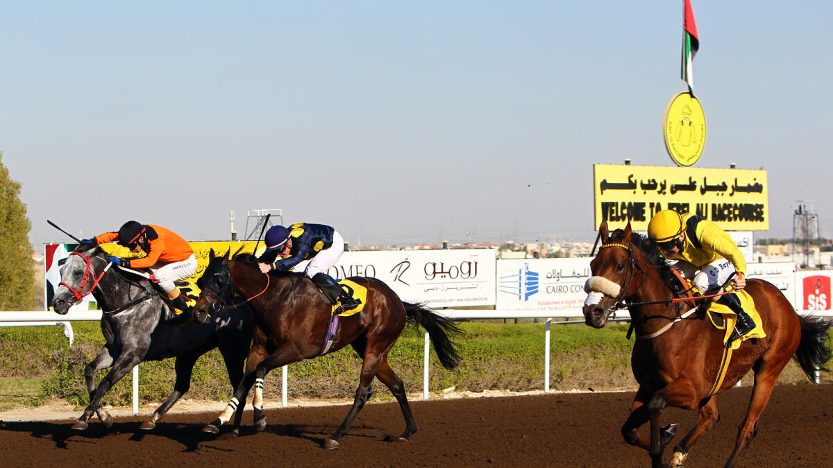 Forjatt (right), ridden by Christopher Hayes, during the third race on Friday. 