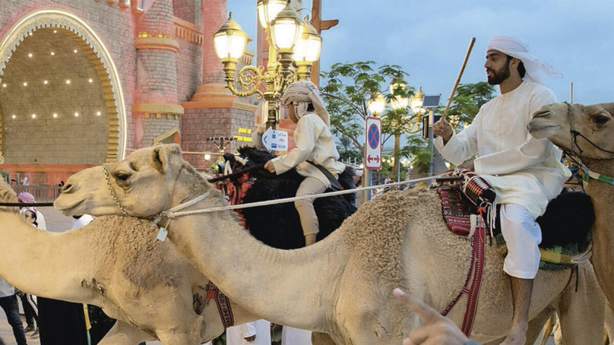 6th Camel Trek concludes in high spirit at Dubai Global Village