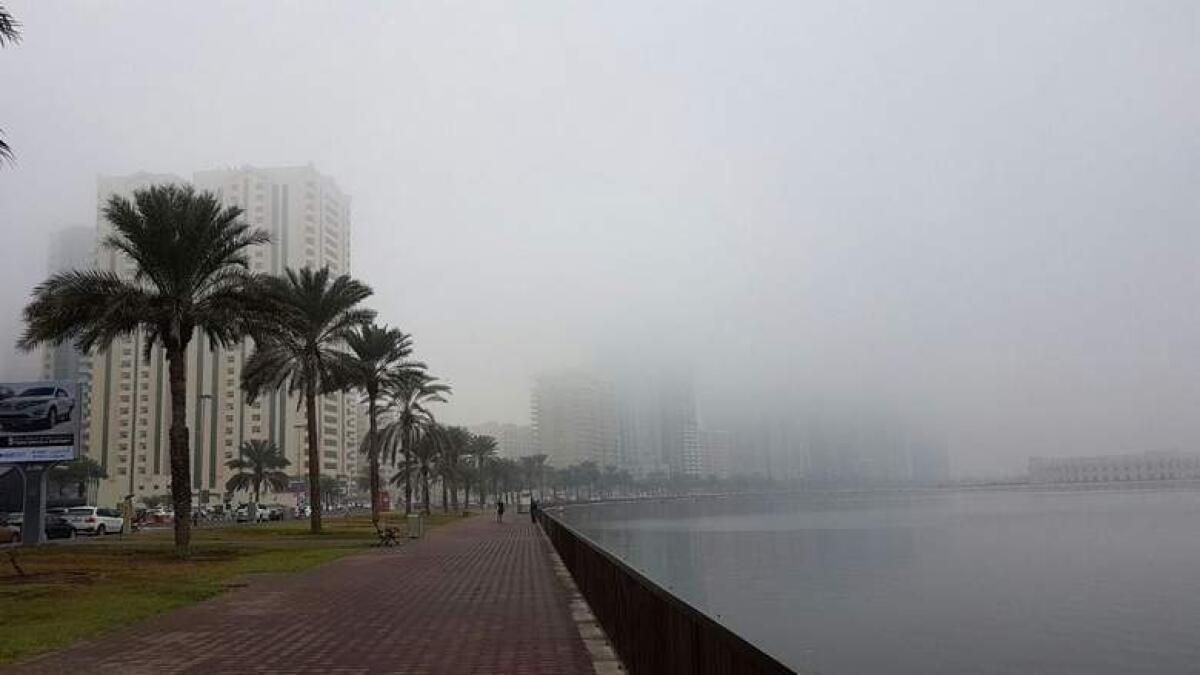 UAE weather: Low visibility warning due to fog, humidity to rise