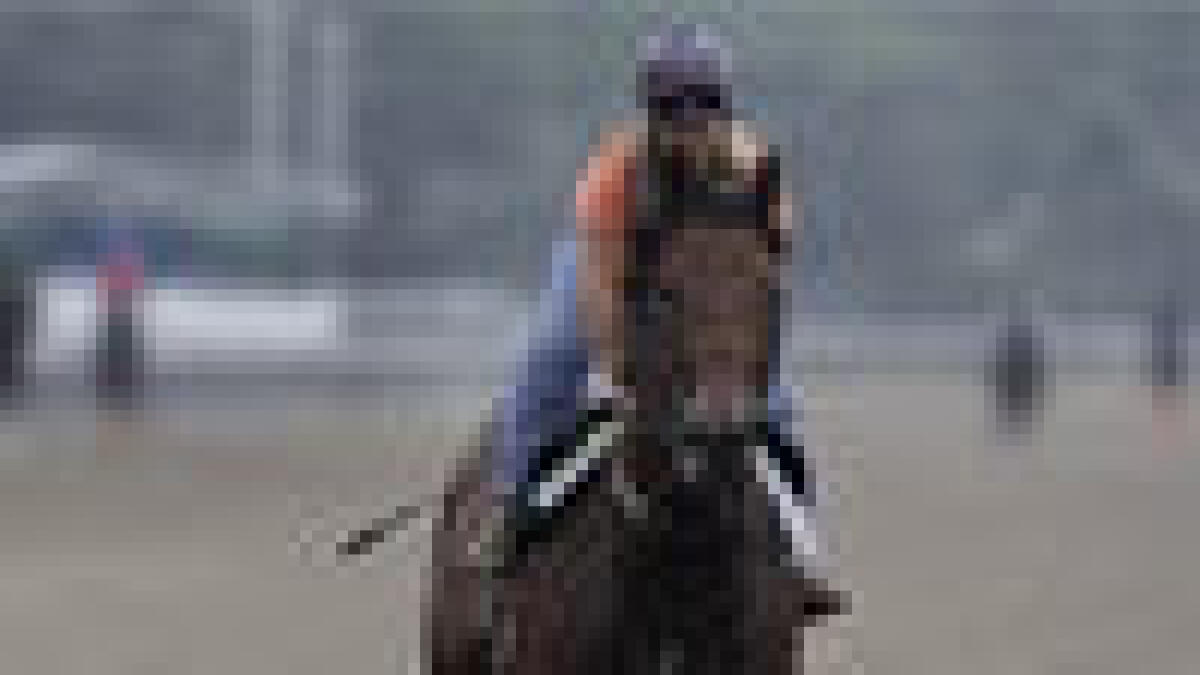 Belmont Stakes promises to be intriguing affair