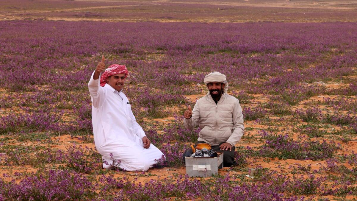Two men prepare tea in a field covered with lavendar-coloured blooms in Rafha town, near the border with Iraq, on February 13, 2023.  — AFP