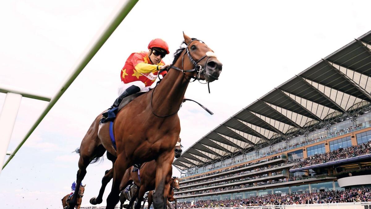 Saddle up: Shane Crosse, onboard State Of Rest, wins the Prince Of Wales’s Stakes at the Ascot Racecourse on Wednesday. — AP