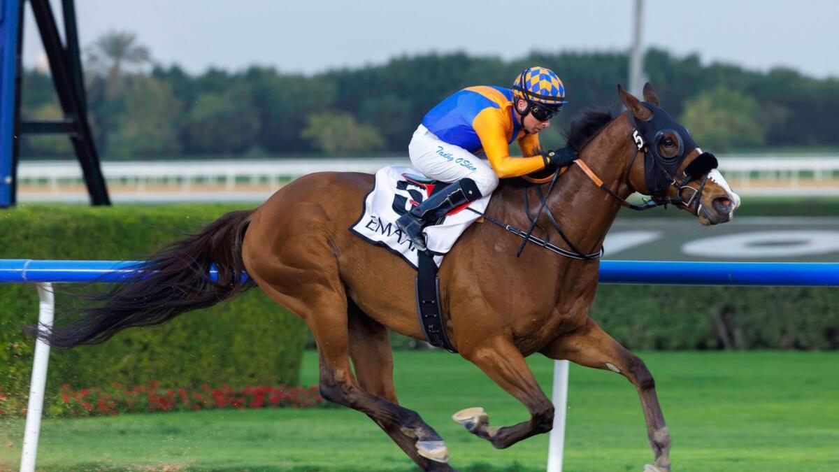 Mezzotinto kicked-off Bhupat Seeam's memorable Meydan evening when taking out the Oasis Maiden. - Photo by DRC