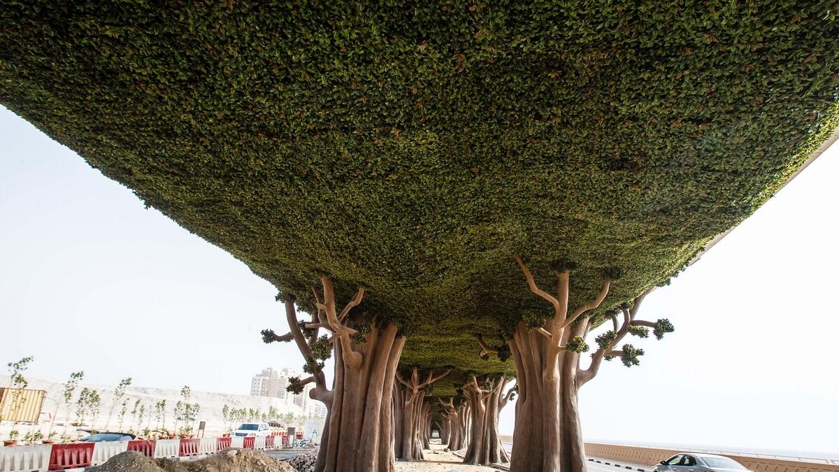 Look! Dubai has planted a forest under a flyover