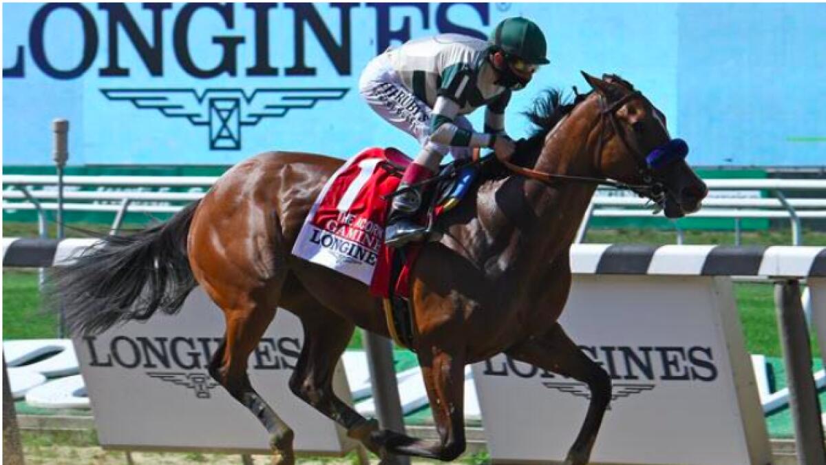 Gamine all set for the Kentucky Oaks show