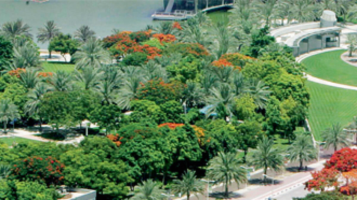 Dh6 billion to turn Dubai into ‘green paradise’ by 2025