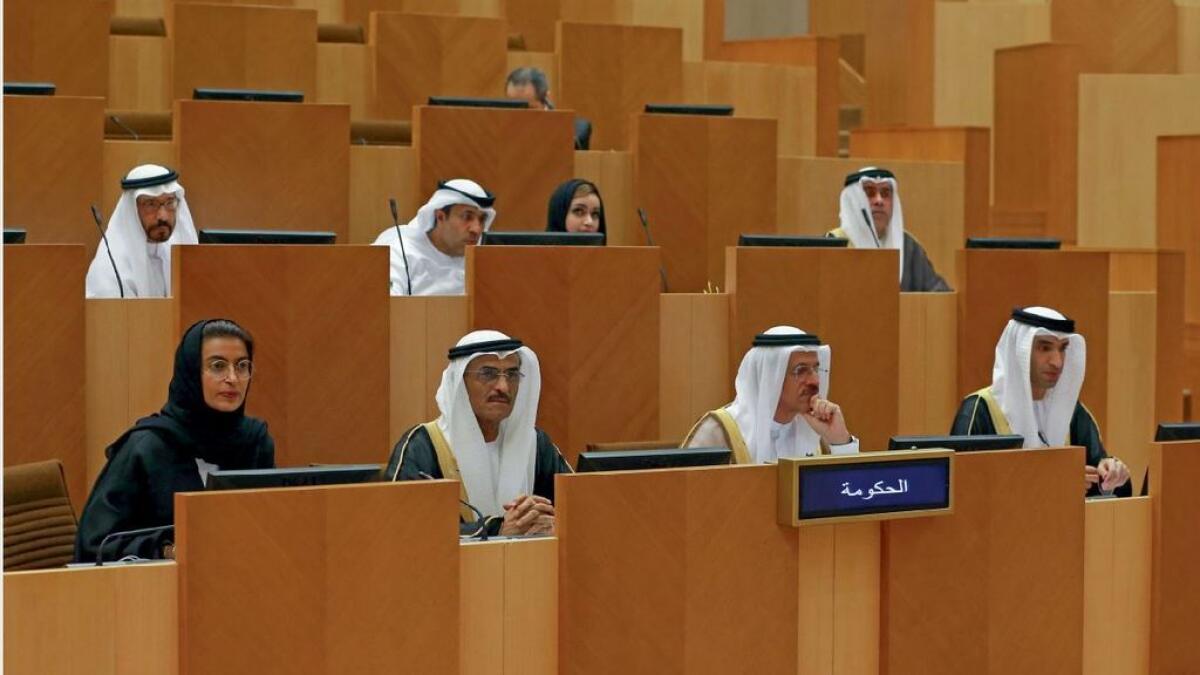 UAE encourages political participation: Minister