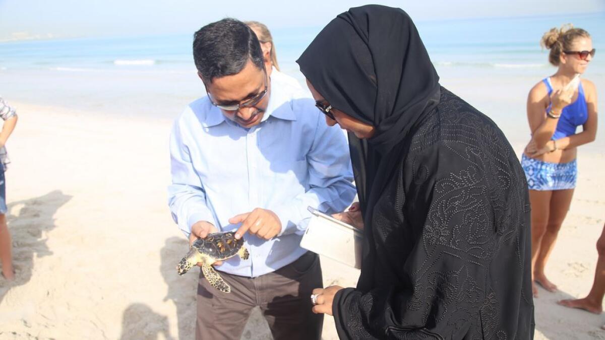 Dr Shaikha Al Dhaheri during the release of turtles