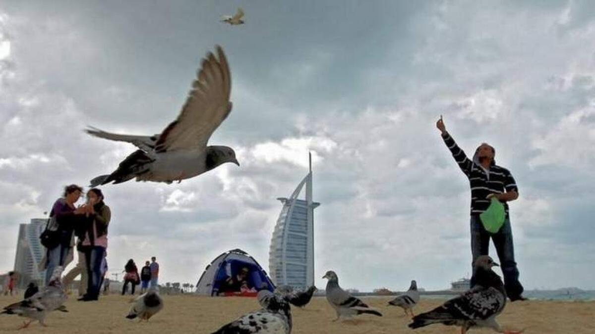 UAE weather: Strong winds, blowing dust to reduce visibility on roads 