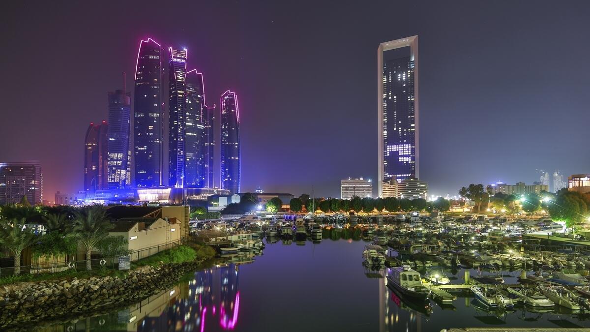 UAE, US business leaders discuss challenges at AmCham summit