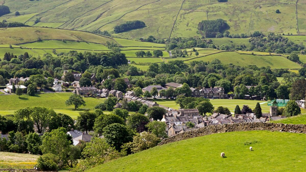 Sheep graze in field above the town of Sedbergh in Cumbria, England. Sedbergh is in the Yorkshire Dales National Park.