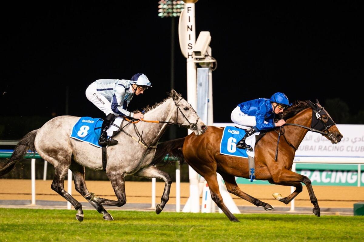 Master Of Seas, ridden by William Buick, wins the Zabeel Mile at Meydan Racecourse on Friday. — Photo by Neeraj Murali