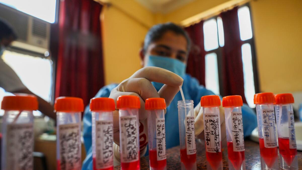 A healthcare worker collects swab samples for Covid-19 test, amid a rise in coronavirus cases in the country, in Jammu on April 13, 2023. — PTI