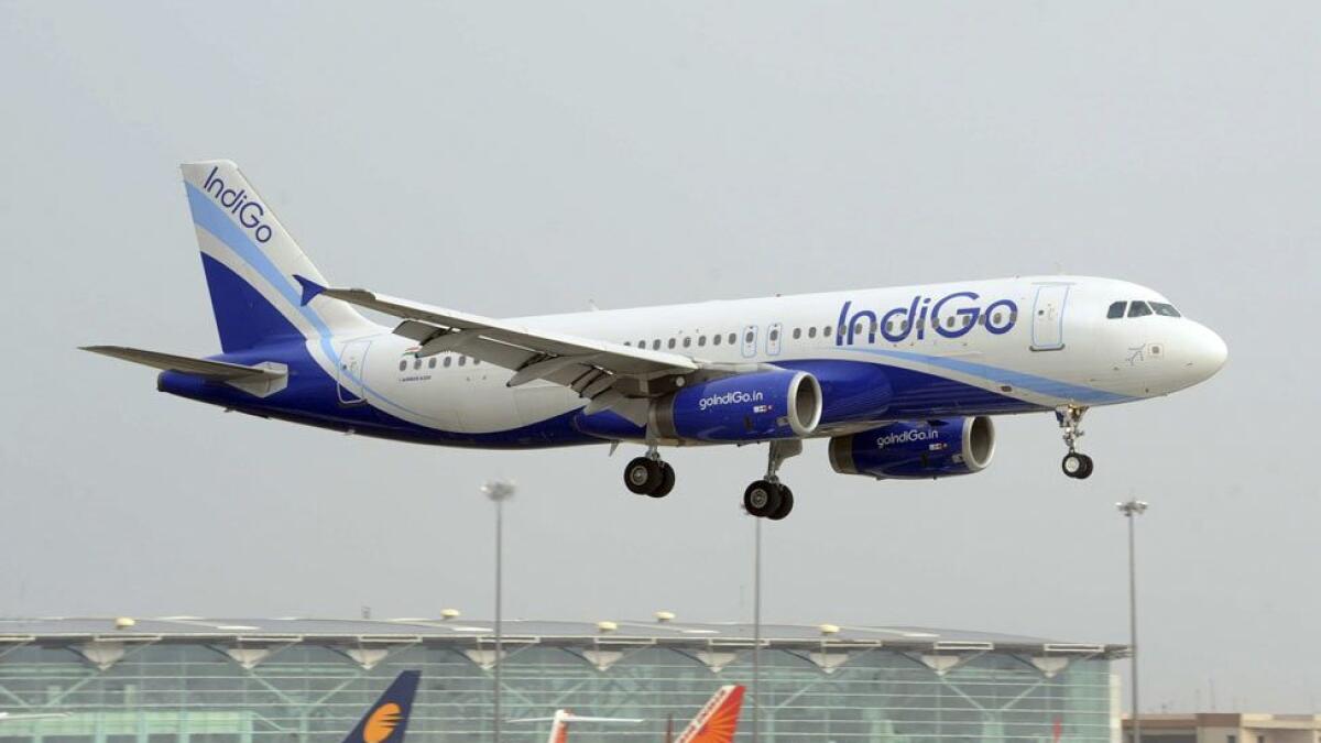 Dog hit delays Indigo flight to Mumbai 