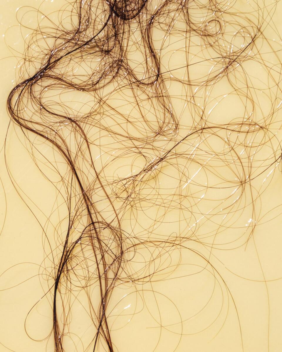 A photo of hair strands in New York, July 7, 2023. — Eric Helgas for The New York Times