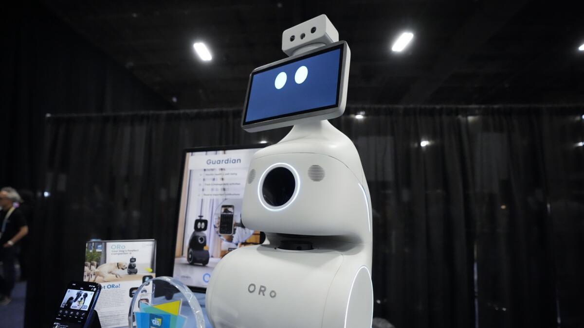 The ORo robot dog companion by is displayed during CES. The robot is designed to interact with, feed, and distribute medication for pets automatically.  — AP