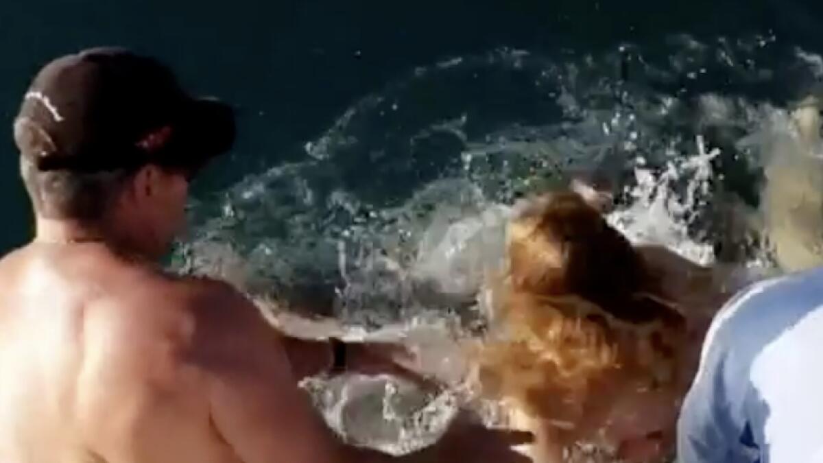 Video: Shark pulls woman underwater, shreds flesh in horrific viral clip 