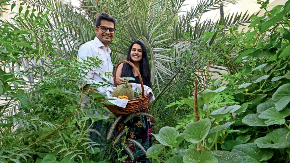 Advaita Sharma and wife Prachi harvest vegetables from their home garden in Abu Dhabi. — Photo by Ryan Lim