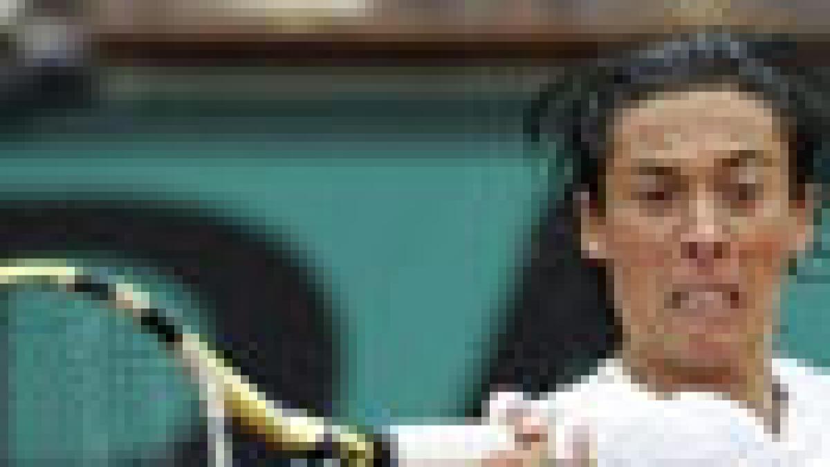 Schiavone faces Stosur for French title