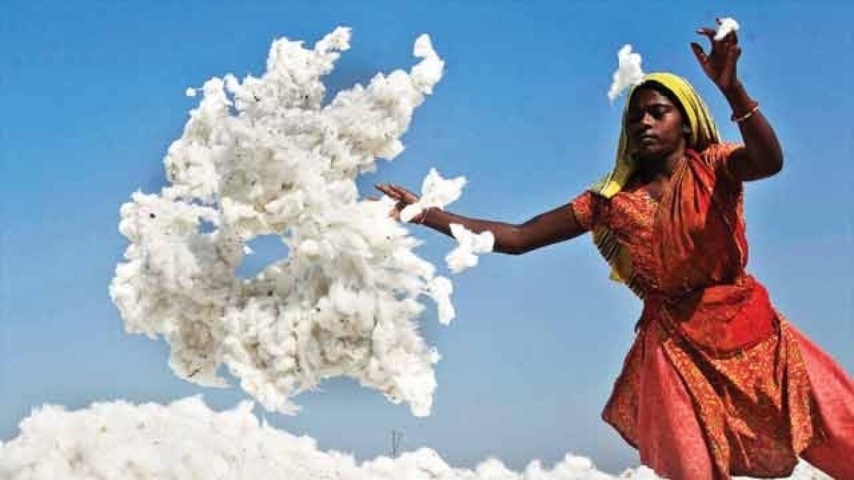 Pakistan stops import of cotton from India amid tension