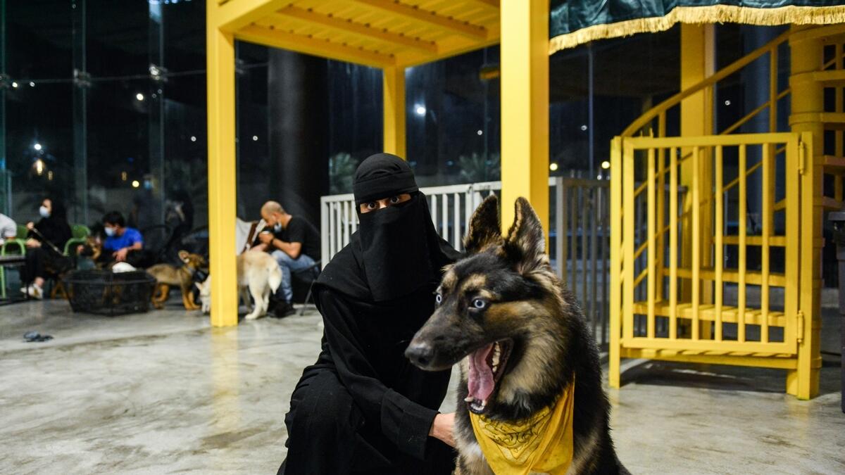 Saudi arabia, dog cafe, pet lovers, the barking lot, khobar
