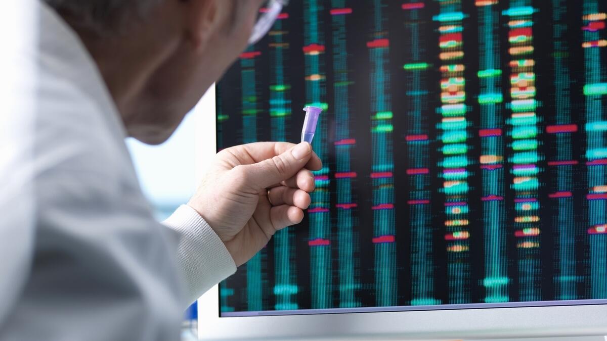 UAE heading towards genome era