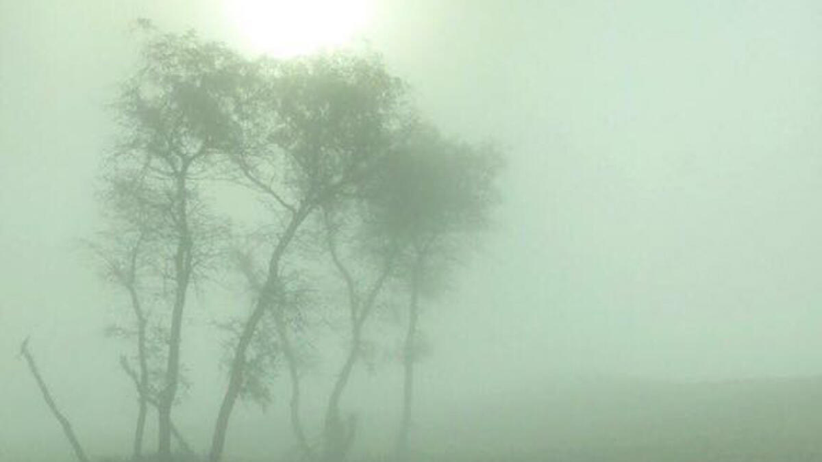 Sheikh Hamdan shares photos of Thursday morning fog in UAE