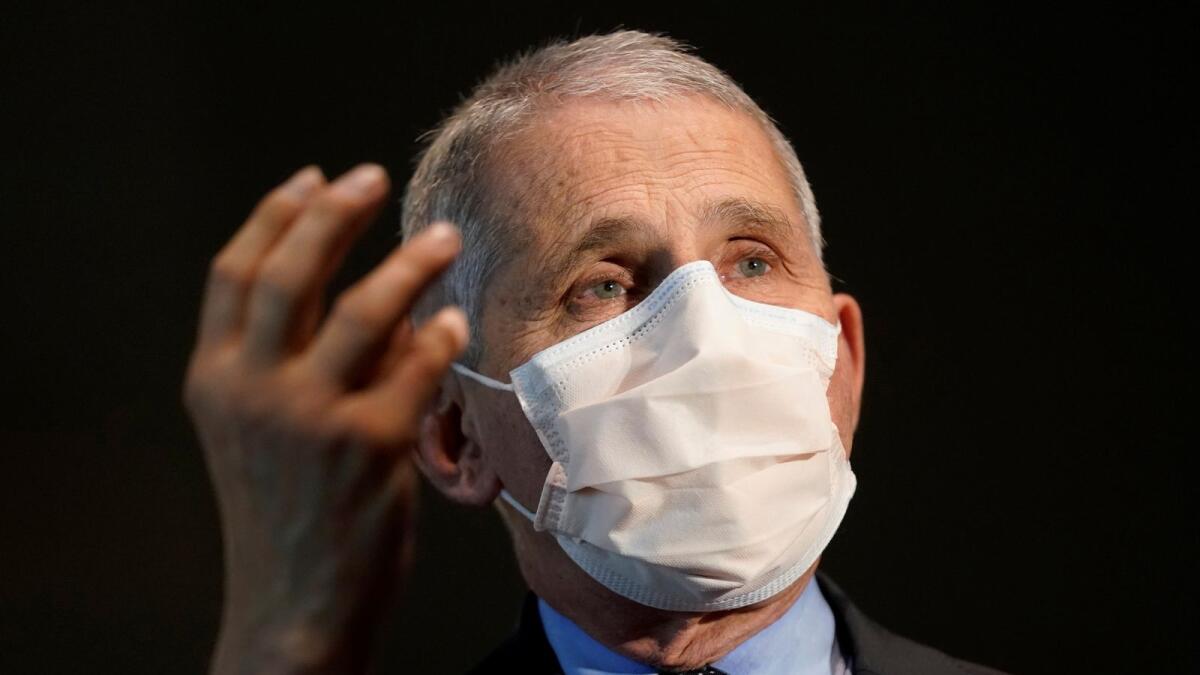 Dr. Anthony Fauci, director of the National Institute of Allergy and Infectious Diseases.