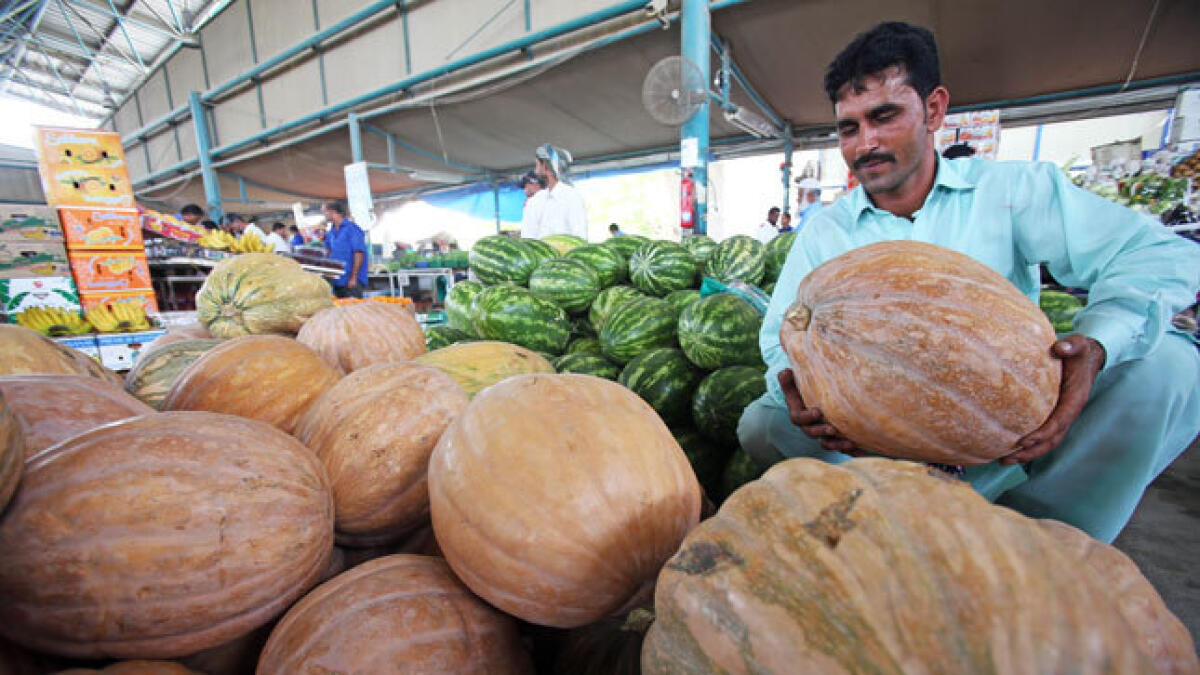 A vendor sets up his stall at the Fruits and Vegetable Market in Dubai. Photo by Dhes Handumon/ Khaleej Times