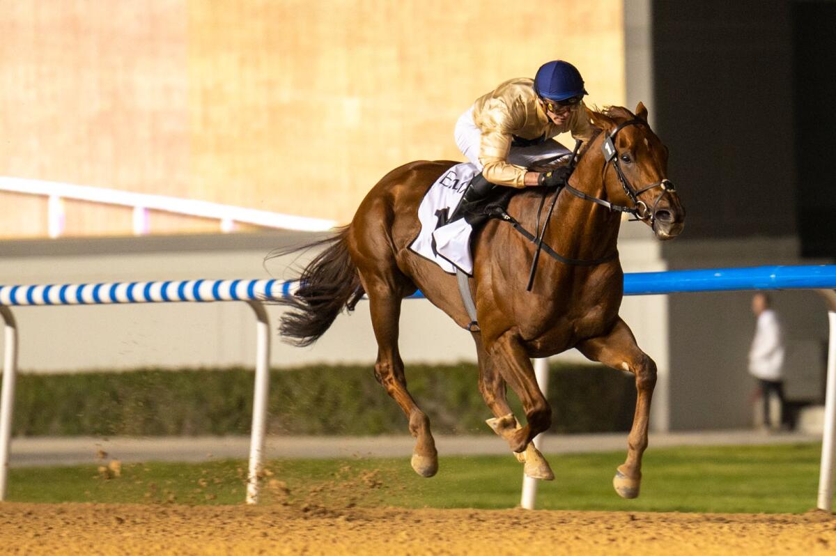 Algiers, ridden by James Doyle, wins the Al Maktoum Challenge at Meydan racecourse on Friday. — Photo by Shihab