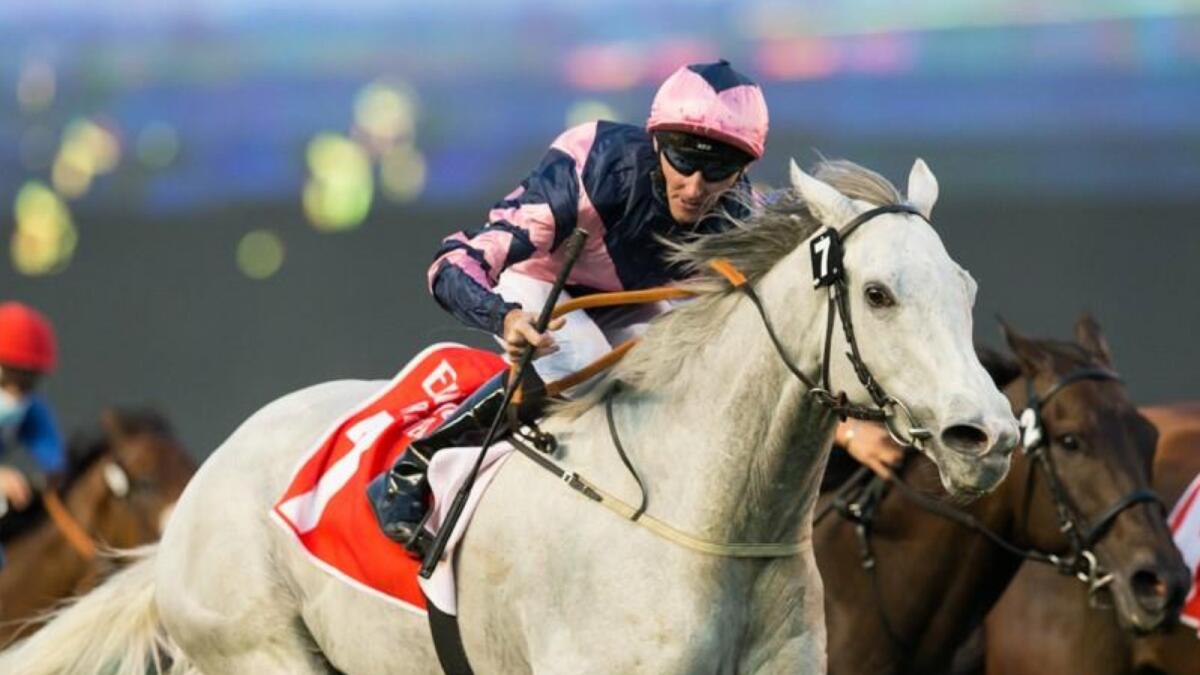 Lord Glitters is expected to start as the favourite to win the Group 2 Al Rashidiya Presented by Riviera Beachfront by Azizi Group at the Carnival on Friday. — ERA
