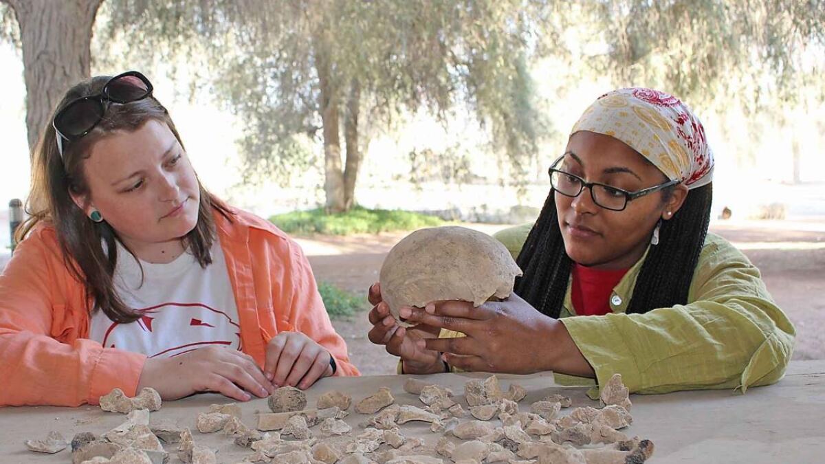 Video, 4,000,year,old, human, bones, found, Ras Al Khaimah