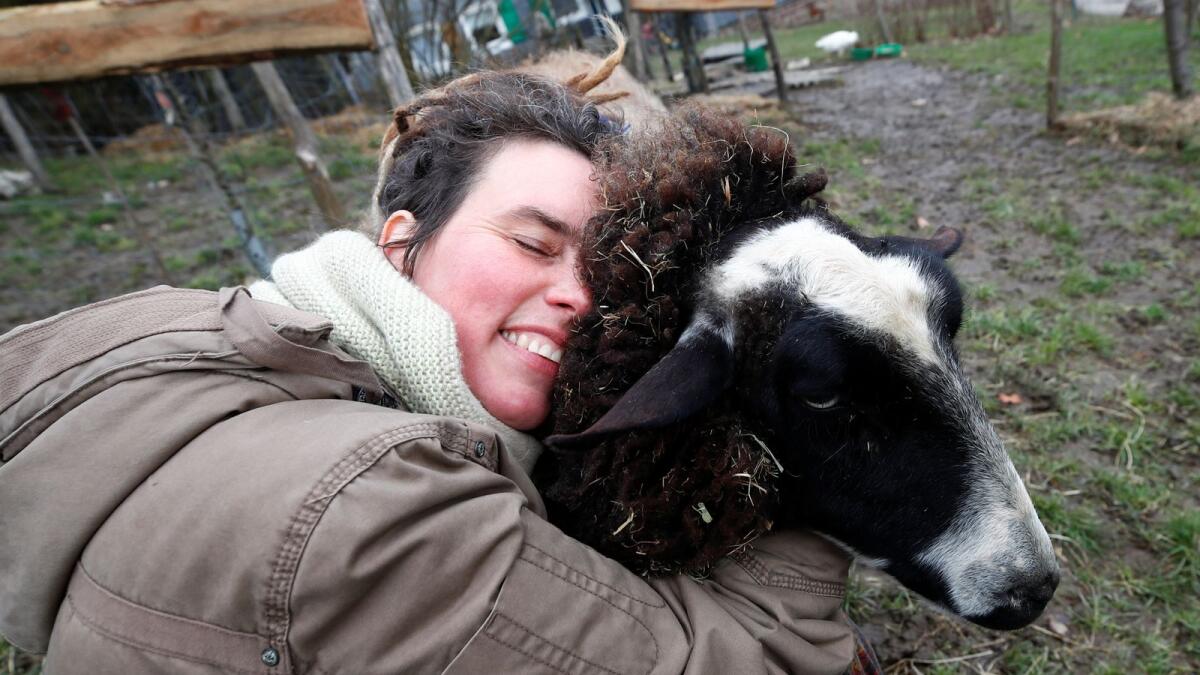 Lexa Voss, personality development coach, cuddles sheep Karlotta at her little farm in Hattingen, near Wuppertal, Germany, on Friday.