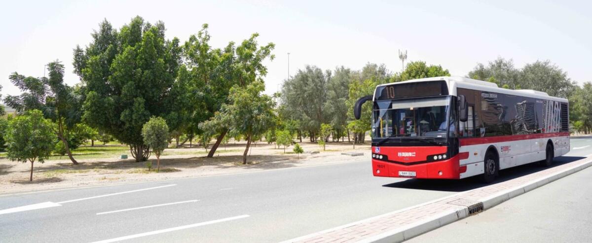 Dubai RTA bus. Photo: Supplied